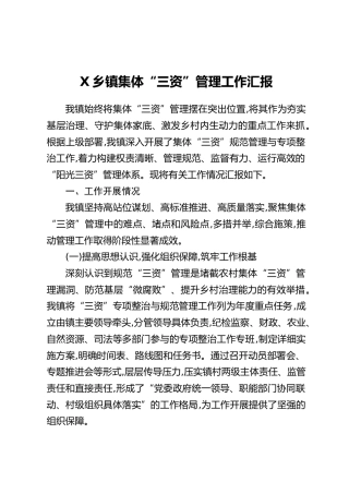 X乡镇集体“三资”管理工作汇报