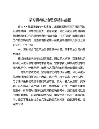 学习贯彻法治思想精神感悟