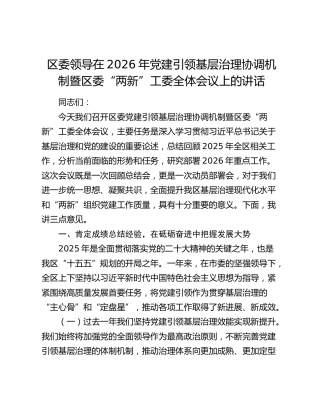 区委领导在2026年党建引领基层治理协调机制暨区委“两新”工委全体会议上的讲话