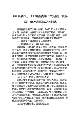 XX县委关于XX届省委第X轮巡视“回头看”整改进展情况的报告