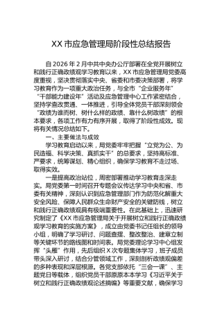 XX市应急管理局阶段性总结报告