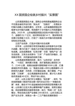 XX国资国企绘就乡村振兴“实景图”