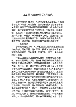 XX单位阶段性总结报告