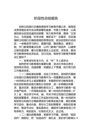 阶段性总结报告