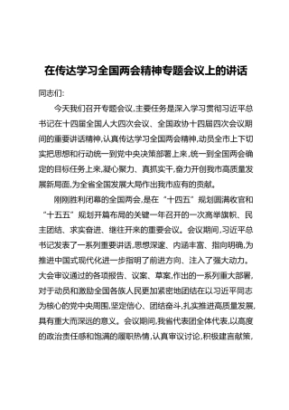 在传达学习全国两会精神专题会议上的讲话(2)