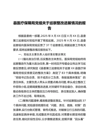 县医疗保障局党组关于巡察整改进展情况的报告