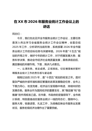 在XX市2026年服务业统计工作会议上的讲话