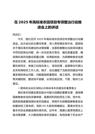 在2025年高标准农田项目专项整治行动推进会上的讲话