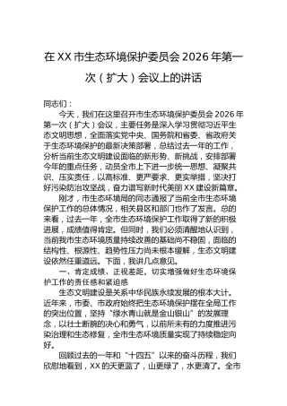 在XX市生态环境保护委员会2026年第一次（扩大）会议上的讲话
