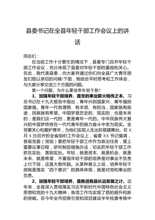 县委书记在全县年轻干部工作会议上的讲话
