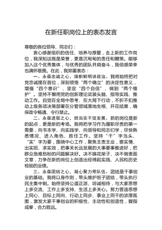 在新任职岗位上的表态发言