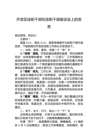 开发区挂职干部在挂职干部座谈会上的发言