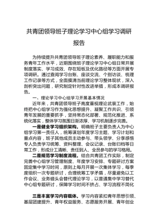 共青团领导班子理论学习中心组学习调研报告