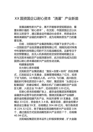 XX国资国企以耐心资本“浇灌”产业新苗