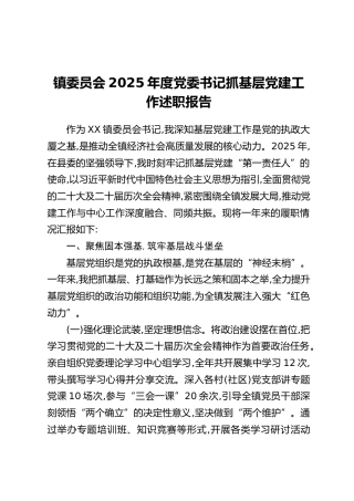 镇委员会2025年度党委书记抓基层党建工作述职报告（2）