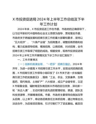 X市投资促进局2024年上半年工作总结及下半年工作计划