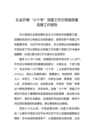 扎实开展“小个专”党建工作引领高质量发展工作报告