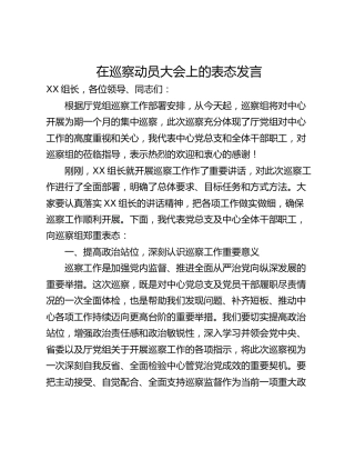在巡察动员大会上的表态发言