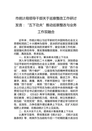 市统计局领导干部关于巡察整改工作研讨发言：“五下功夫”推动巡察整改与业务工作双融合