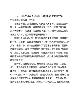 在2025年X市春节团拜会上的致辞