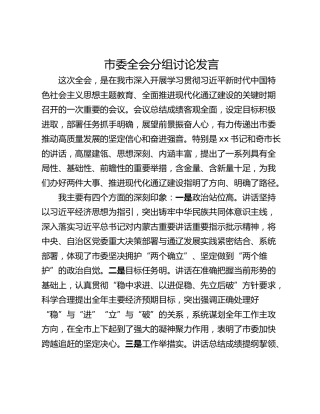 市委全会分组讨论发言