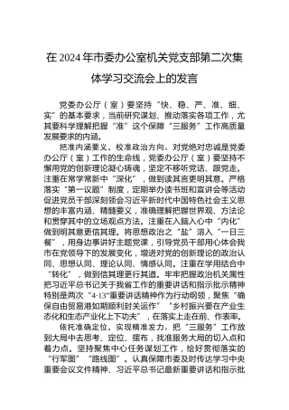 在2024年市委办公室机关党支部第二次集体学习交流会上的发言