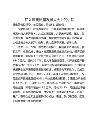 在X区高质量发展大会上的讲话