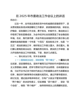 在2025年市委政法工作会议上的讲话