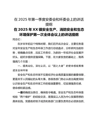 在2025年第一季度安委会和环委会上的讲话提纲