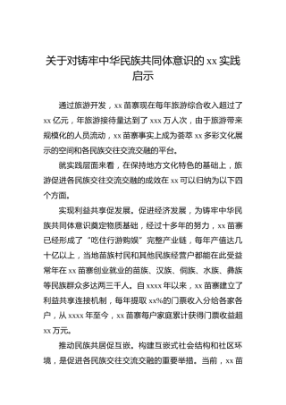 关于对铸牢中华民族共同体意识的xx实践启示