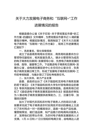 关于大力发展电子商务和“互联网”工作进展情况的报告