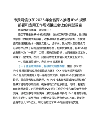 市委网信办在2025年全省深入推进IPv6规模部署和应用工作现场推进会上的典型发言