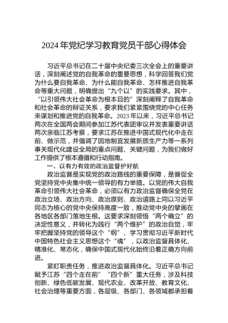 2024年专题活动学习党员干部心得体会