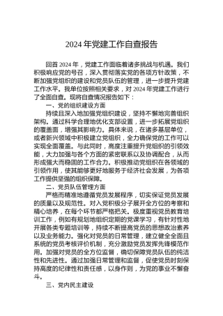 2024年党建工作自查报告