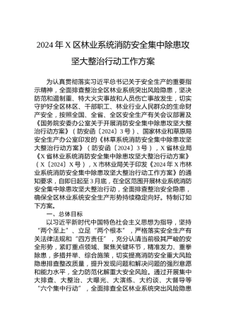 2024年X区林业系统消防安全集中除患攻坚大整治行动工作方案