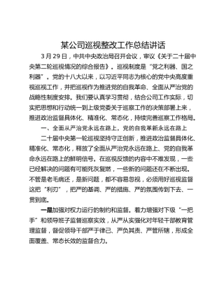 某公司巡视整改工作总结讲话