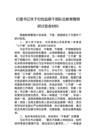 纪委书记关于纪检监察干部队伍教育整顿研讨发言材料
