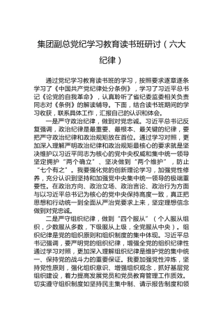 集团副总纪律教育培训读书班研讨（六大纪律）