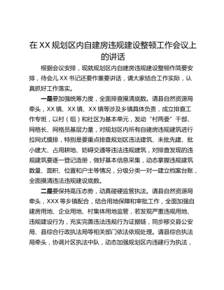 在XX规划区内自建房违规建设整顿工作会议上的讲话