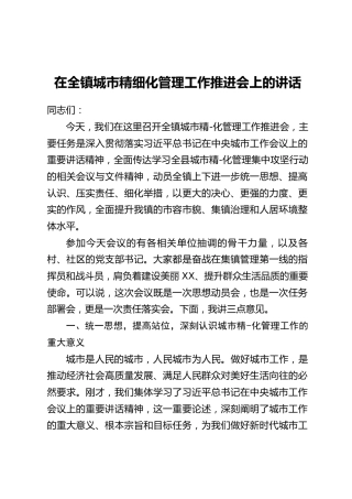 在全镇城市精细化管理工作推进会上的讲话
