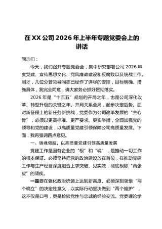 在XX公司2026年上半年专题党委会上的讲话