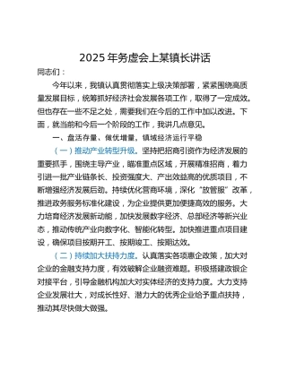 2025年务虚会上某镇长讲话