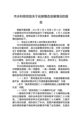 市水利局党组关于巡察整改进展情况的报告