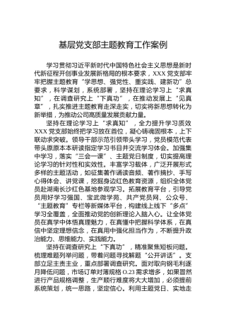 基层党支部主题教育工作案例