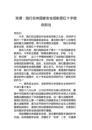 党课：践行总体国家安全观彰显红十字使命担当