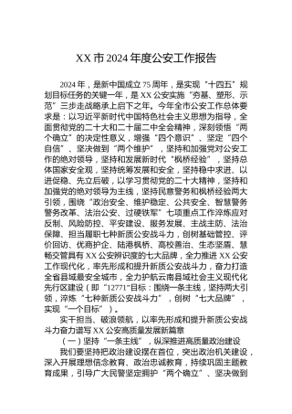XX市2024年度公安工作报告