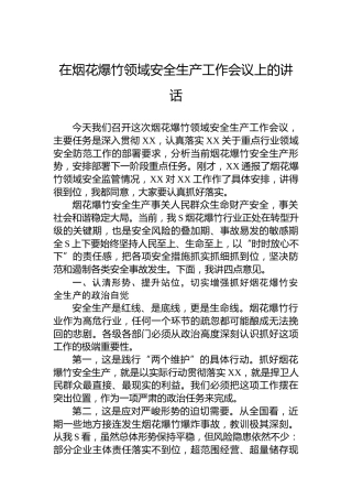 在烟花爆竹领域安全生产工作会议上的讲话