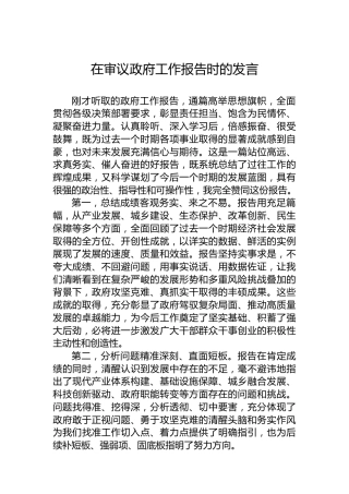 在审议政府工作报告时的发言