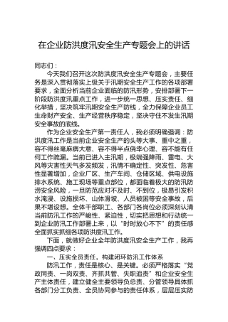 在企业防洪度汛安全生产专题会上的讲话