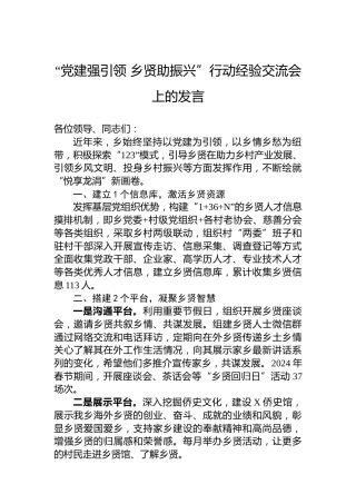 “党建强引领乡贤助振兴”行动经验交流会上的发言